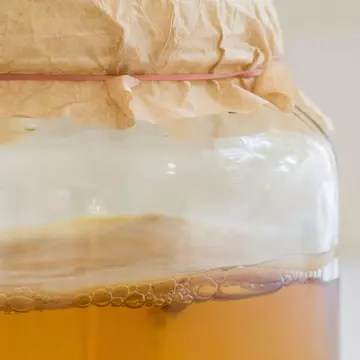Kombucha, ciuperca vindecătoare din borcanul cu ceai