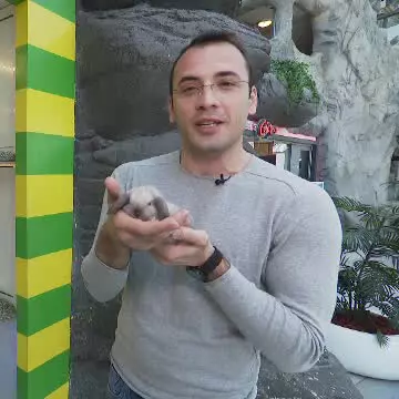 Ce cadouri își doresc copiii de la iepurașul de Paște. Tradiția, împrumutată de la germani