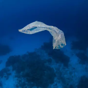 O pungă de plastic a fost descoperită în cel mai adânc loc de pe pământ: Groapa Marianelor