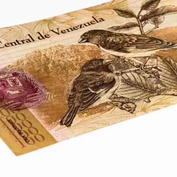Moneda națională a Venezuelei, depășită de aurul virtual dintr-un joc