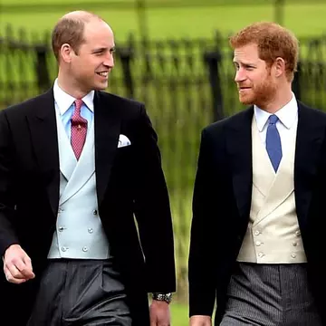 Primele fotografii cu Prințul Harry și Prințul William la nunta regală