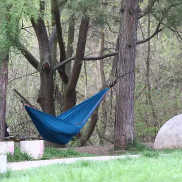 Ce a pățit un bucureștean care și-a instalat hamacul într-un parc din sectorul 3