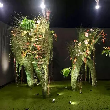 România câștigă bronzul la cea mai mare competiție floristică din Asia: Singapore Garden Festival