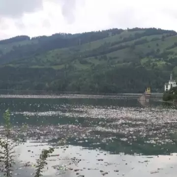 Omenirea și-a consumat resursele pentru acest an, dar face puţin pentru planetă. România, situaţie ”unică” în Europa