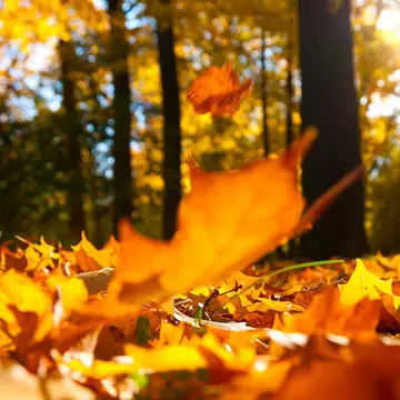 Prognoza meteo pentru toamna 2018. Vești îngrijorătoare pentru Europa