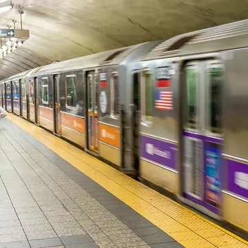O femeie a fost surprinsă la metrou cu... o vulpe pe umăr