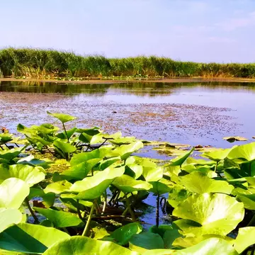 (P) Oferte Speciale la vacanțele în Delta Dunării, de Black Friday!