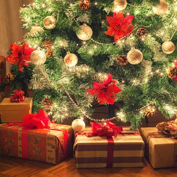 Cu ce au înlocuit vedetele bradul de sărbători. Noul trend promovat de celebrități