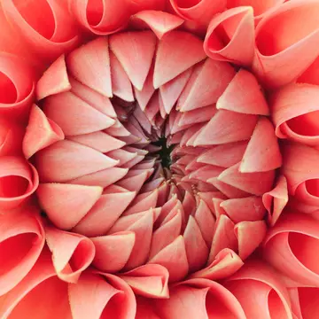 Care este culoarea anului 2019. Nuanța a apărut deja pe podiumurile de modă