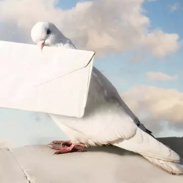 Un copil de 7 ani i-a trimis o scrisoare în Rai tatălui său. Răspunsul emoționant al poștei din Marea Britanie