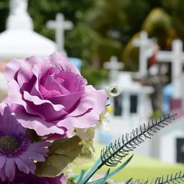 (P) Apeleaza la servicii funerare pentru ca tu sa scapi de stresul suplimentar
