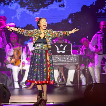 Andra a fost aspru criticată de o artistă din România: „O mare obrăznicie și o lipsă totală de respect”