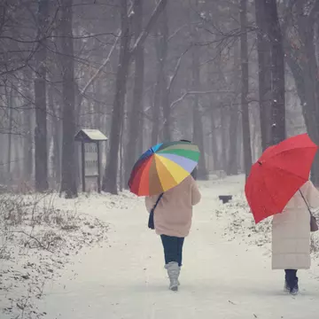 Vremea 29 ianuarie. Temperaturi în creștere și ploi