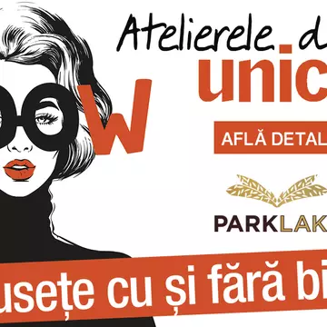 Atelierele de idei Unica, 21 februarie