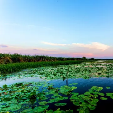 (P) Rezervă din timp vacanța de primăvară în Delta Dunării!