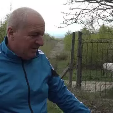 Un om din Vrancea s-a trezit cu un exemplar ”dispărut” în curte. ”Foarte mare, cioc imens”