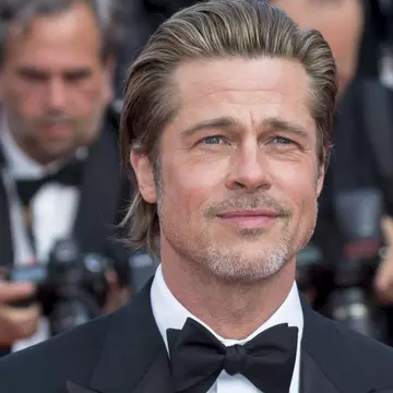 Imaginea lui Brad Pitt, folosită ilegal pentru promovarea unei parade a heterosexualilor