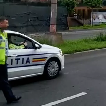 Rațe, escortate de un echipaj de poliție VIDEO