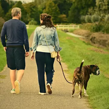 3 situații stresante care apar atunci când ieși afară cu câinele și cum să le depășești