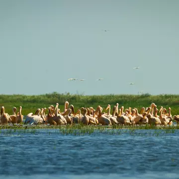 (P) Plătește 1, Merg 2! Vacanță all inclusive în Delta Dunării cu numai 1398 lei!