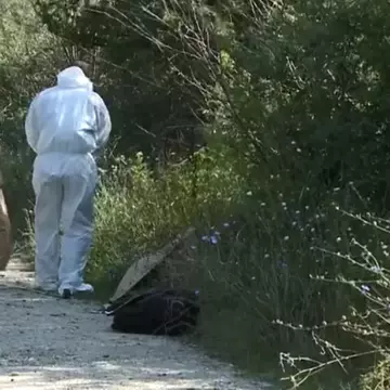 Ultimă oră. Oseminte umane descoperite într-o pădure de lângă Caracal