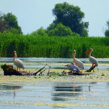 (P) Delta Dunării, un paradis la prețuri accesibile