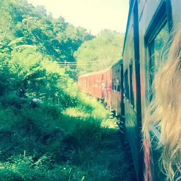 18 celebrități care au învățat a doua limbă engleza