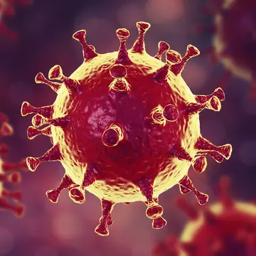 Un nou deces cauzat de coronavirus în afara Chinei