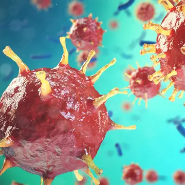 Coronavirusul nu se vede, dar se poate auzi. Structura proteică a SARS-CoV-2, transformată în muzică