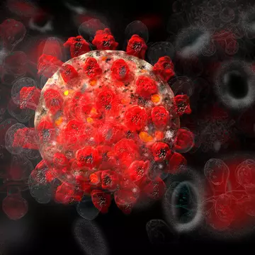 Temperatura la care coronavirusul nu rezistă mai mult de 5 minute