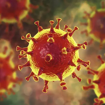 Cât de departe se răspândesc particulele de coronavirus când bate vântul