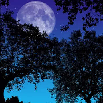 Lună Plină în zodia Scorpion, mai 2020. Se separă grâul de neghină