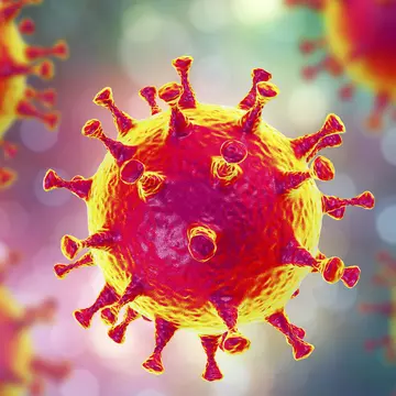 Studiu: Noul coronavirus, prezent în Europa din martie 2019