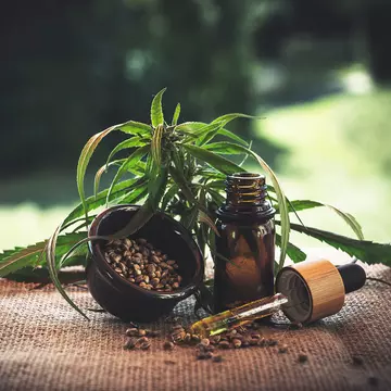 (P) Anxietatea poate fi tratată cu ulei de canabis! Ce arată studiile despre acest remediu natural!