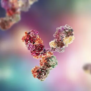 Studiu: Imunitatea la COVID-19 scade rapid la cei cu simptome ușoare