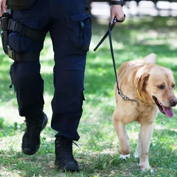 Țara în care câinii vor fi dresați să depisteze persoanele cu COVID-19