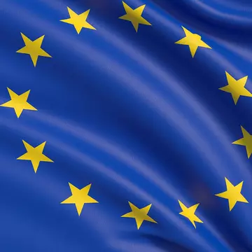 Comisia Europeană, ultimatum pentru România din cauza exploatării forestiere ilegale și a calității aerului