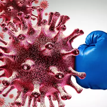 Noul coronavirus poate fi eradicat. Soluția Organizației Mondiale a Sănătății