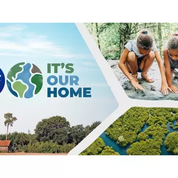 (P) P&G adoptă soluții climatice naturale pentru a accelera progresul în privința schimbărilor climatice