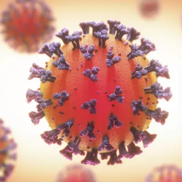 Epidemiolog: Coronavirusul se transmite mai greu