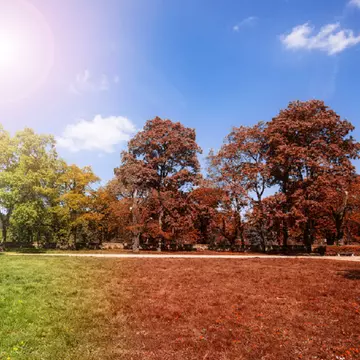 Prognoza meteo ANM: Cum va fi vremea în septembrie 2020