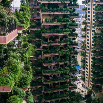 Au vrut să trăiască într-un paradis ecologic, dar s-au trezit într-un coșmar. Ce au pățit locatarii „pădurii verticale” din China