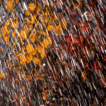 Prognoza meteo ANM! Lapoviță și ninsori, vânt puternic și ploi în mai multe regiuni