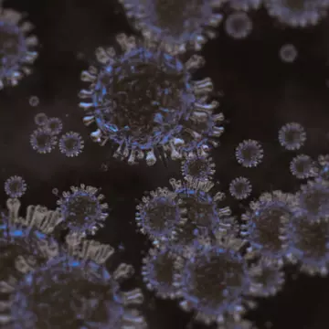 Care sunt principalele surse de răspândire a virusului SARS-CoV-2