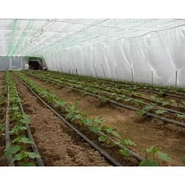 (P) Cât de importantă este plasa de umbrire pentru protecția plantelor? Află de unde o poți achiziționa