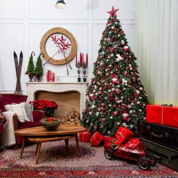 Când se împodobește bradul de Crăciun. Istoria lui și tradițiile românești