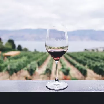 (P) 5 ponturi ca să identifici un vin bun