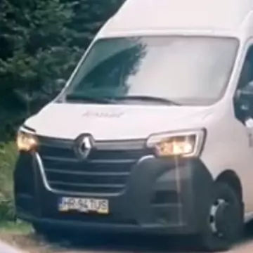 Imagini care îți vor frânge inima: un urs cerșește mâncare la mașini în Băile Tușnad