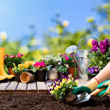 Flori de primăvară. Ce se plantează primăvara în grădină