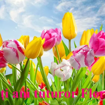 Mesaje de Florii 2022. Urări și felicitări pentru sărbătoriții zilei